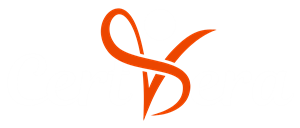 system logo